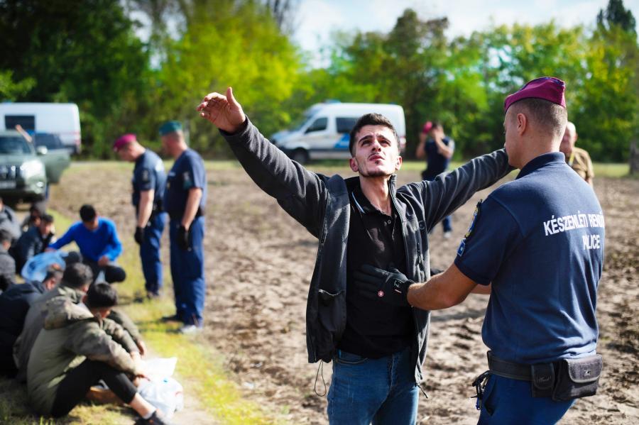 Felfegyverzett bandák tartják rettegésben a szerb–magyar határvidéket, a menekültválságból a maffia és a politika is hasznot húz