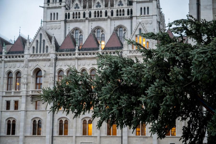Felállították az ország karácsonyfáját a Kossuth téren