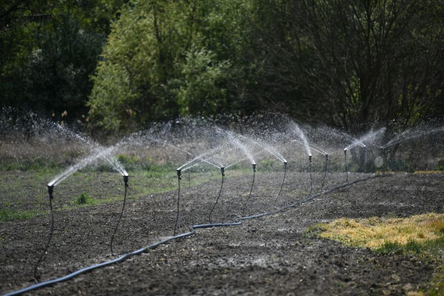 Idén is ingyen kapnak öntözésre vizet a gazdák, ez több mint nyolcmilliárd forintba kerülhet