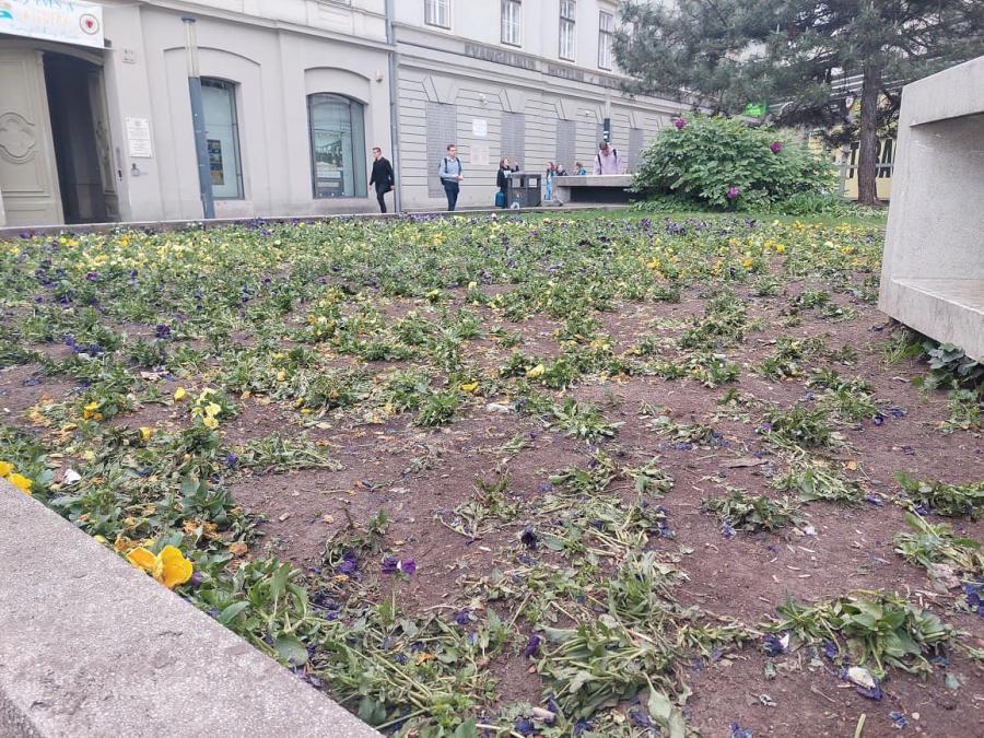 Teljesen letaposták a Deák téri virágokat a szombati ezresdobálás közben