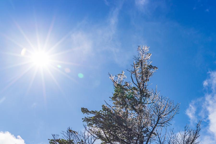 Akár 15 foknál is melegebb lehet a héten, de a szél miatt figyelmeztetést adtak ki