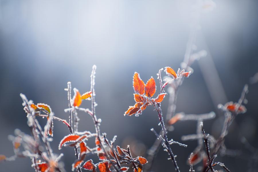 Az idei tél eddigi leghidegebb éjszakáján vagyunk túl