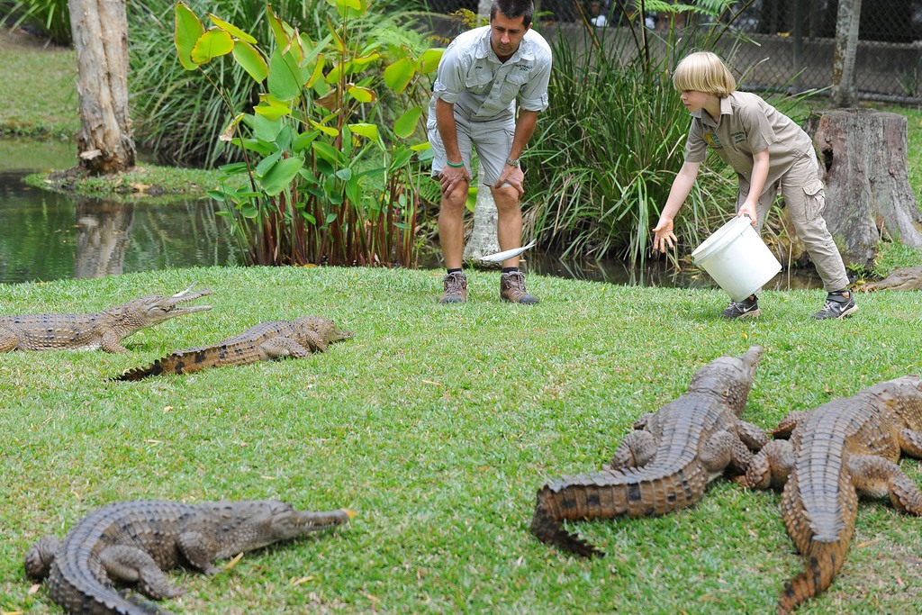 Krokodilokat etetnek Ausztráliában/Getty Images