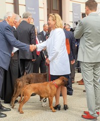 ERŐSÍTÉS - Karin Kneissl osztrák külügyminiszter két kutyáját is elhozta