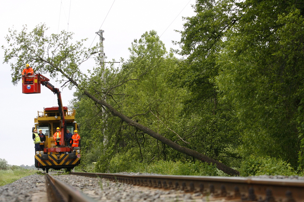 A vasúti felsővezetékre borult fa eltávolításán dolgoznak szakemberek és tűzoltók Nagykanizsa közelében 2014. május 15-én. Fotó: Varga György/MTI