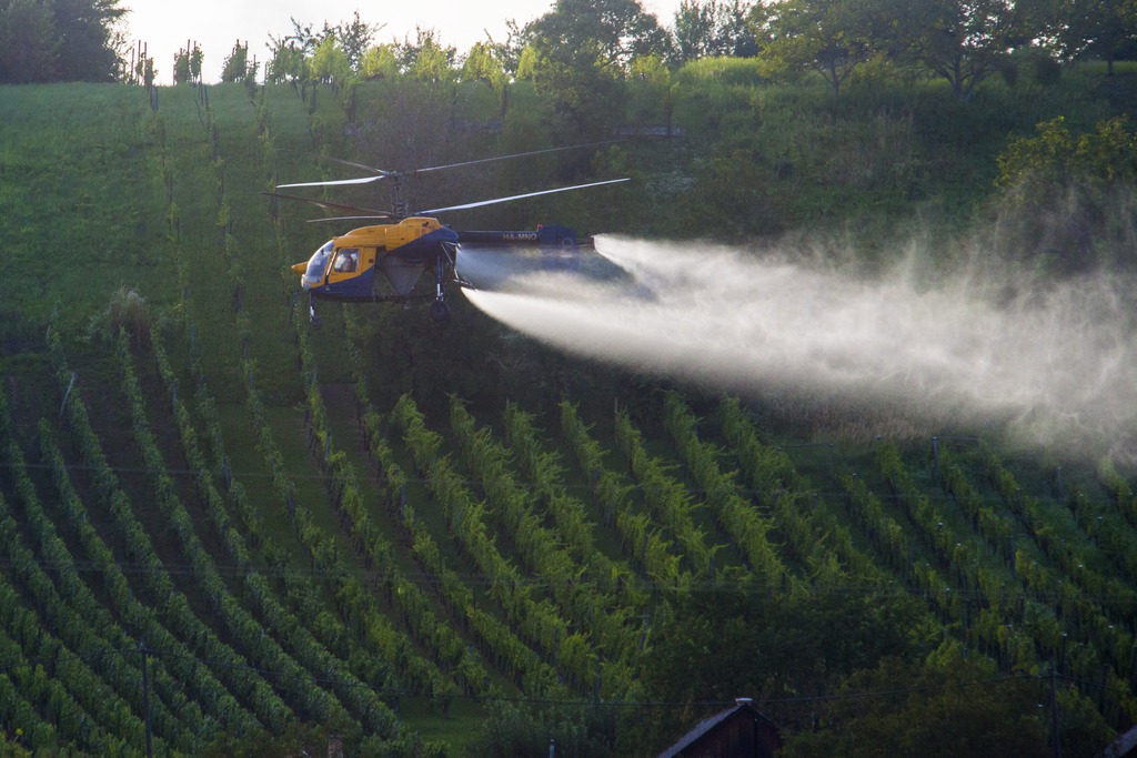 Helikopterről permetezve pusztítják a szőlő aranyszínű sárgaság betegségét okozó fitoplazma kórokozót a Zala megyei Lenti közelében 2014. július 29-én. MTI Fotó: Varga György