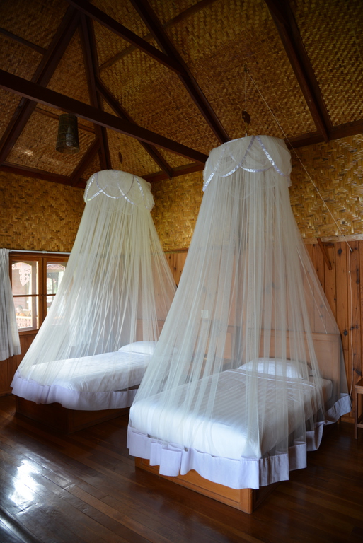 Így lehet védekezni a fertőző szúnyogok ellen. FOTÓ: Thinkstock