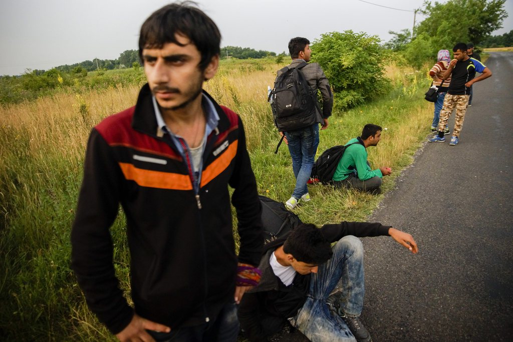 Napról napra több menekült érkezik a magyar határszakaszokra – a kormány lassan nem engedne be senkit sem FOTÓ: MTI/BALOGH ZOLTÁN