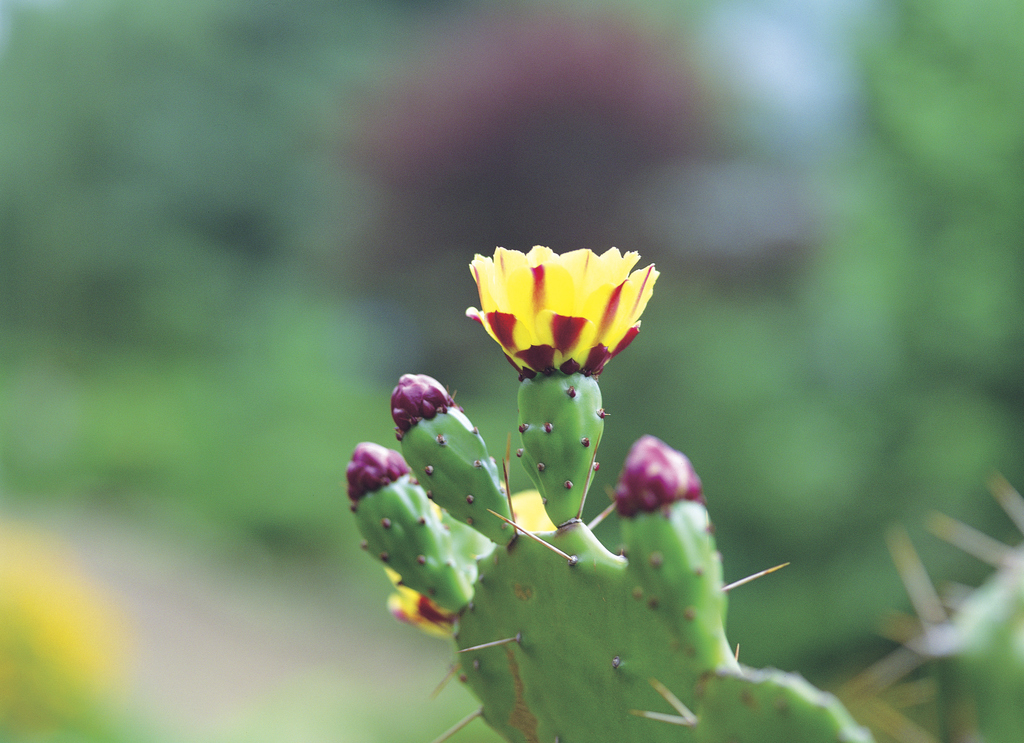 Illusztráció/Thinkstock