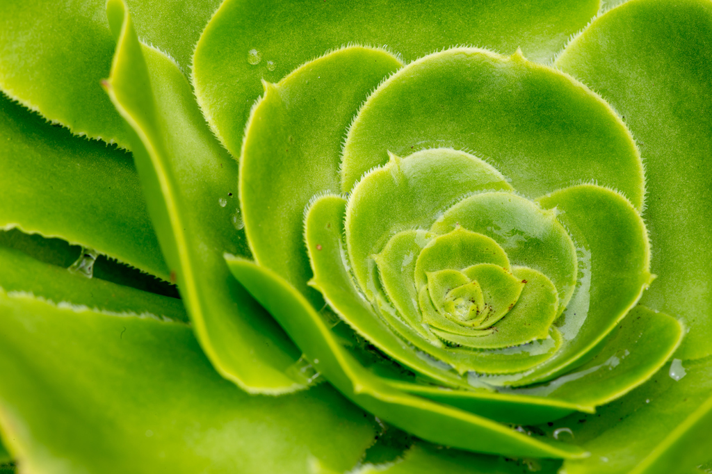 Illusztráció/Thinkstock