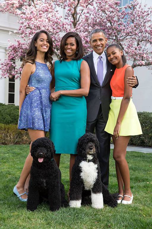 Bo és Sunny a két elnöki kutya az Obama-családdal